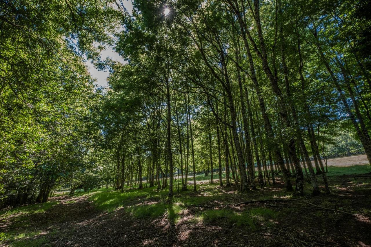 فندق Domaine De Malouzies Fonties-Cabardès المظهر الخارجي الصورة