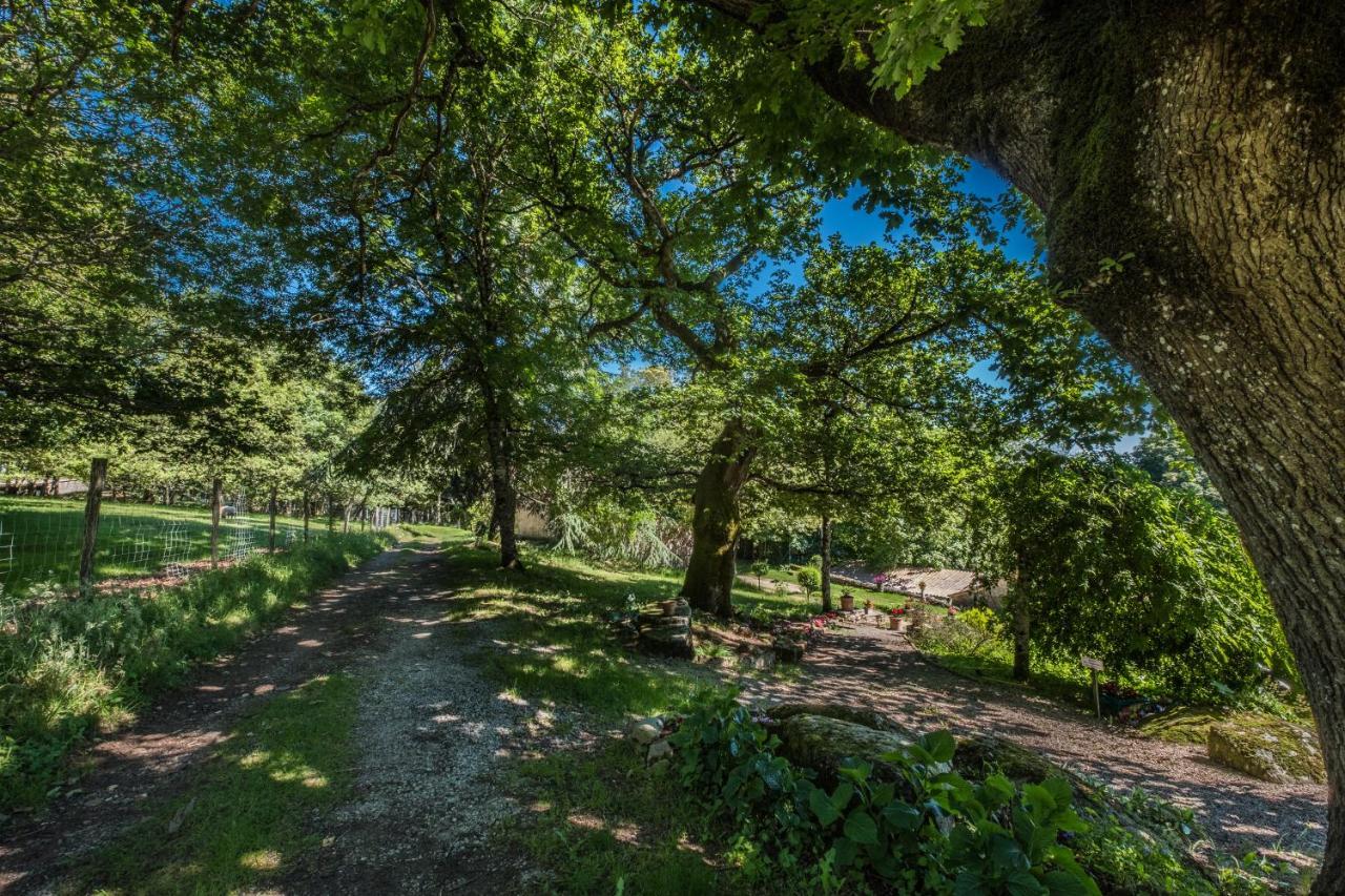 فندق Domaine De Malouzies Fonties-Cabardès المظهر الخارجي الصورة