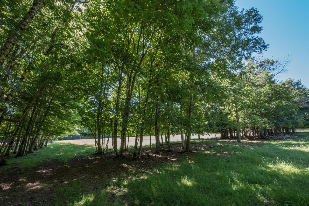 فندق Domaine De Malouzies Fonties-Cabardès المظهر الخارجي الصورة