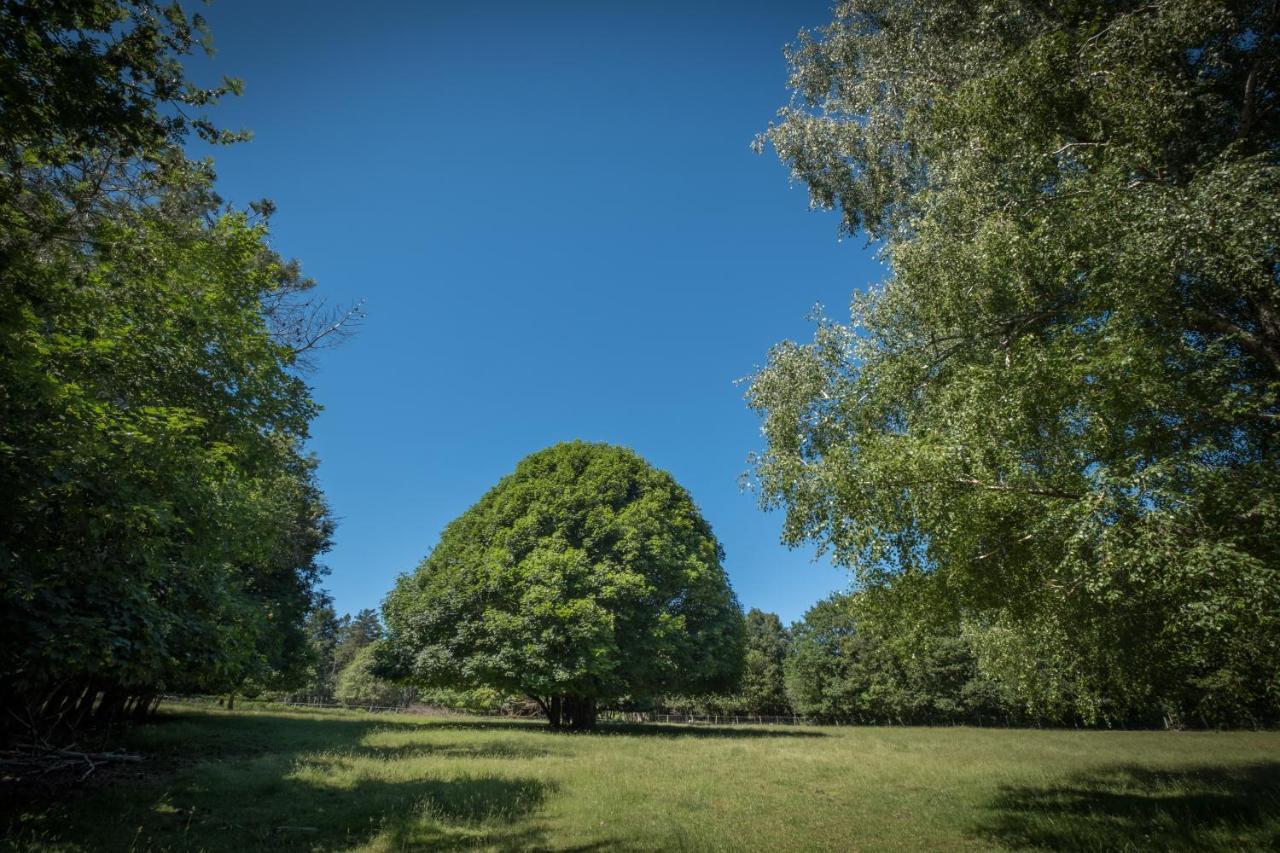 فندق Domaine De Malouzies Fonties-Cabardès المظهر الخارجي الصورة